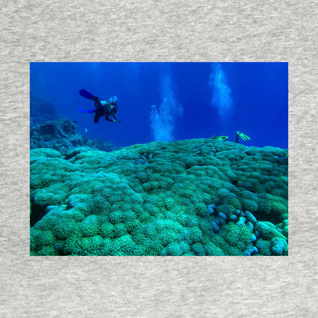 Coral Reef and scuba diver by likbatonboot